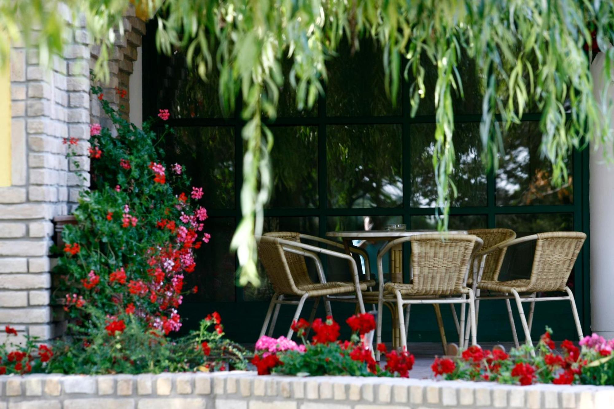 Nyerges Hotel Termal Superior モノル エクステリア 写真